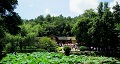 長(zhǎng)沙出發(fā)到花明樓、韶山、張家界國(guó)家森林公園、天門(mén)仙山國(guó)家森林公園四日游